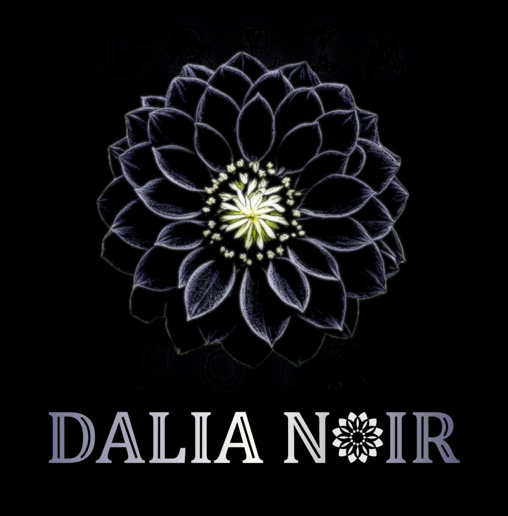 dn logo