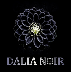 dn logo